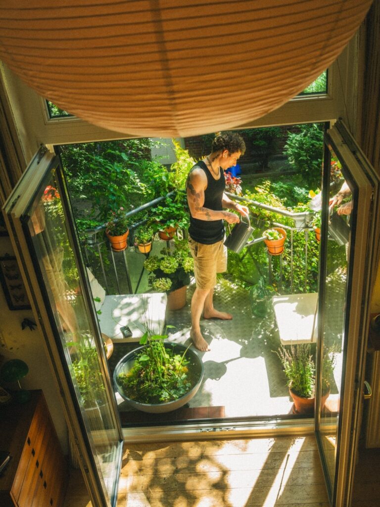 A man watering lush green plants in terracotta pots on a sunny balcony.