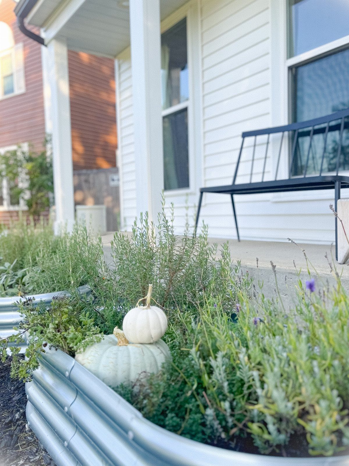 Green herbs growing in a corrugated metal raised garden bed next to a white house porch.