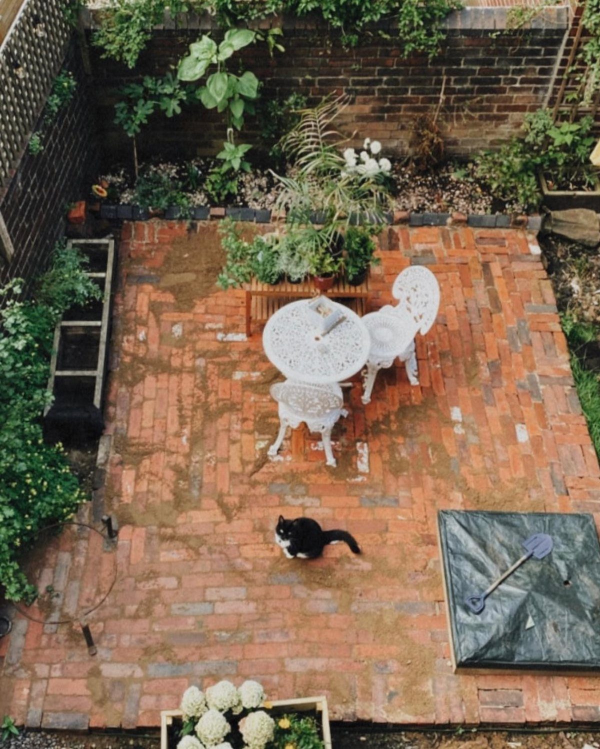 Reddish-orange brick patio with white wrought-iron garden furniture and a black and white cat.