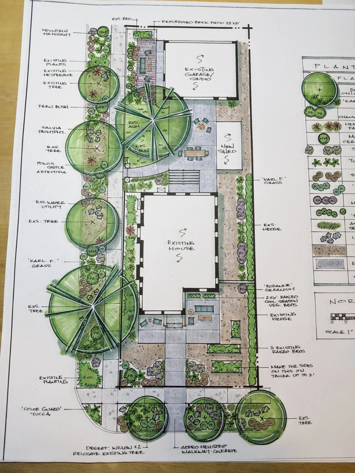A detailed garden design drawing showing a house layout, landscaping, trees, and garden paths on paper.