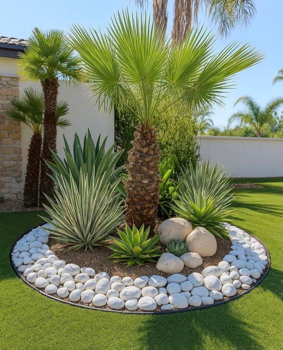Small palm tree and agave plants surrounded by white river stones in a circular garden bed.
