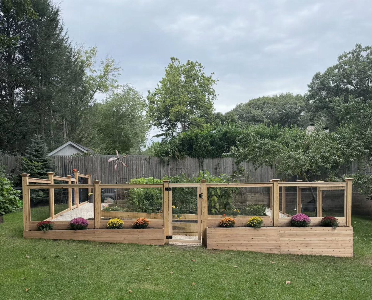 Wooden raised garden beds enclosed by a wire mesh fence in a lush green backyard.